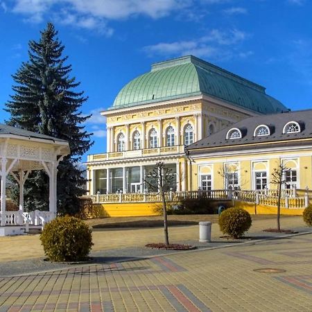 Penzion U Modrého Slona Františkovy Lázně Exterior foto