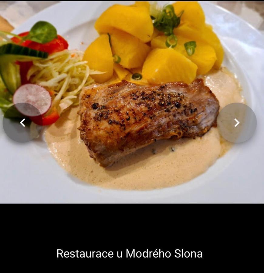 Penzion U Modrého Slona Františkovy Lázně Exterior foto