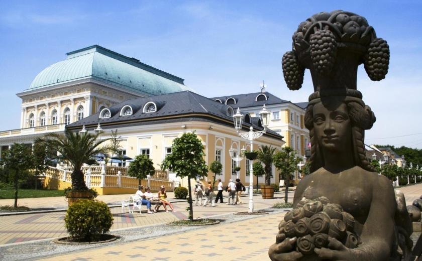 Penzion U Modrého Slona Františkovy Lázně Exterior foto