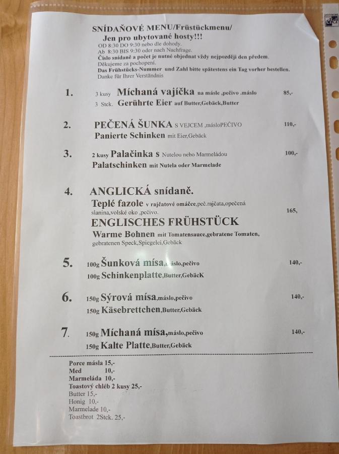 Penzion U Modrého Slona Františkovy Lázně Exterior foto