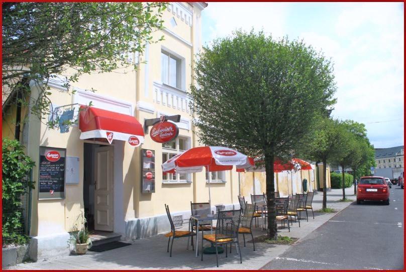 Penzion U Modrého Slona Františkovy Lázně Exterior foto